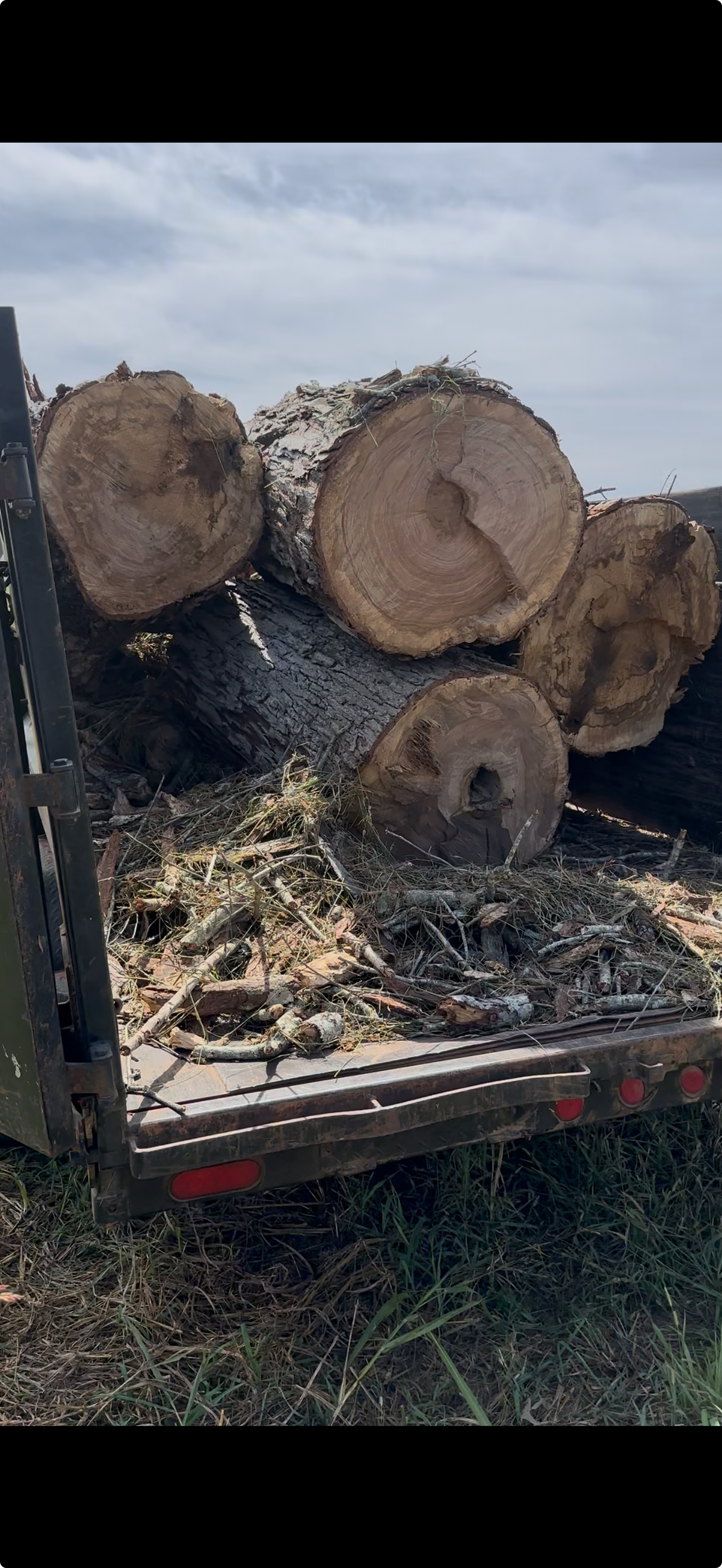 Debris Removal