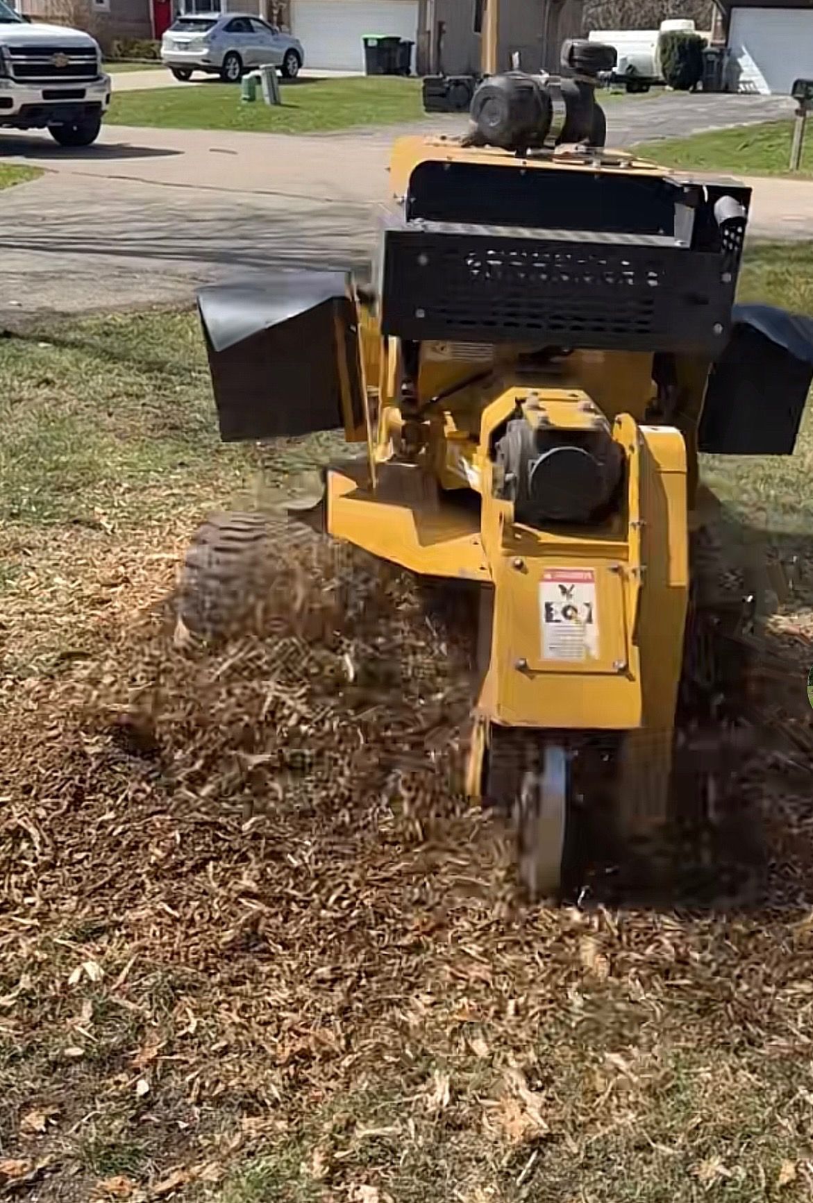 Stump Grinding